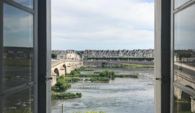 Blois, vue panoramique Loire