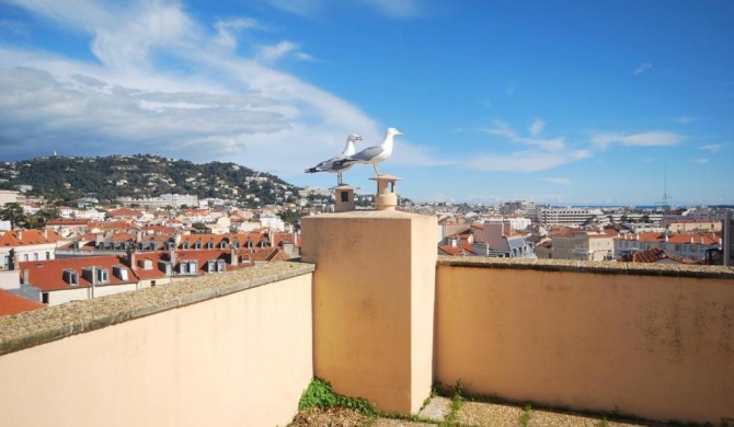 APPARTEMENT 1 CHAMBRE AVEC TOIT TERRASSE