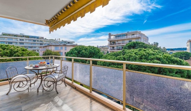 Appartement Grande Terrasse Cannes