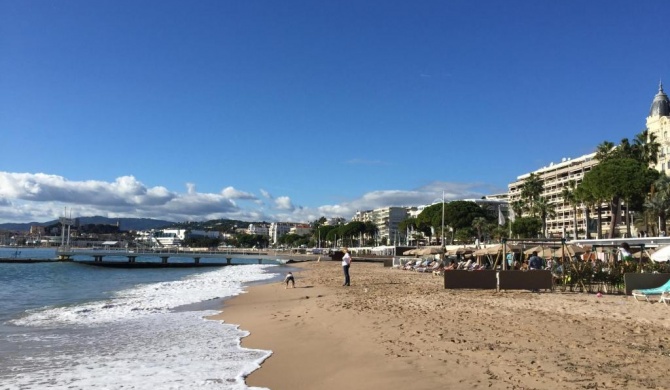 Palm beach Cannes